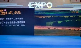 伊犁文旅局爆料新闻视频,新闻视频背后的精彩故事